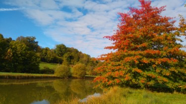 Фотография под названием "Quercy Flamboyant 1" - Brigitte Mathé (MBL), Подлинное произведение искусства