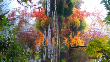 Fotografie getiteld "Reflets d'automne à…" door Brigitte Mathé (MBL), Origineel Kunstwerk