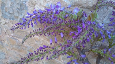 Photographie intitulée "Parfum de la Glycine" par Brigitte Mathé (MBL), Œuvre d'art originale