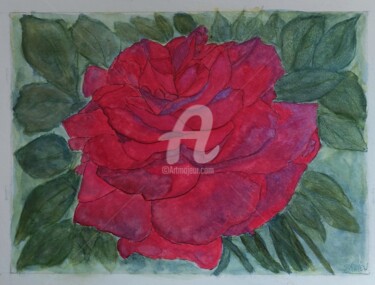 Painting titled "ROSE ROUGE PASSION…" by Brigitte Payen (B.PAYEN), Original Artwork, Watercolor