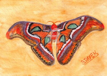 Pintura titulada "PAPILLON EXOTIQUE" por Brigitte Payen (B.PAYEN), Obra de arte original, Acuarela