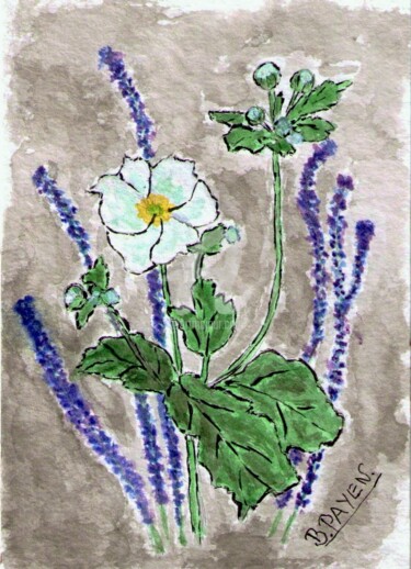 Dessin intitulée "anemonesfleurbouton…" par Brigitte Payen (B.PAYEN), Œuvre d'art originale, Encre