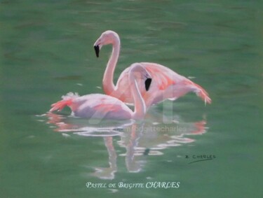 Painting titled "FLAMANDS ROSES" by Brigitte Charles, Original Artwork, Oil