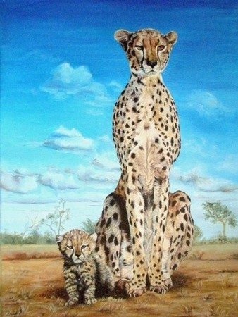 Malerei mit dem Titel "Cheetahs" von Brigitte Kohlhepp, Original-Kunstwerk