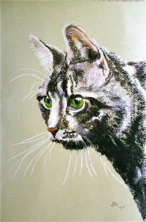 Malerei mit dem Titel "Cat" von Brigitte Kohlhepp, Original-Kunstwerk
