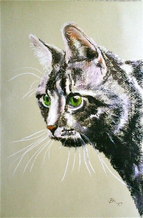 Painting titled "Cat" by Brigitte Kohlhepp, Original Artwork