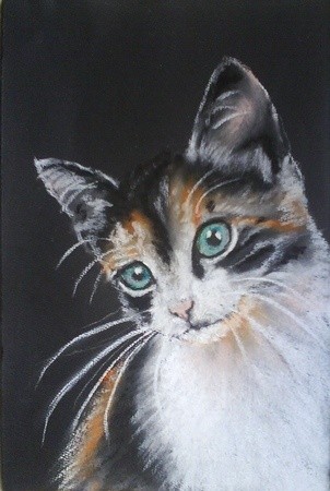 Malerei mit dem Titel "Another Cat" von Brigitte Kohlhepp, Original-Kunstwerk