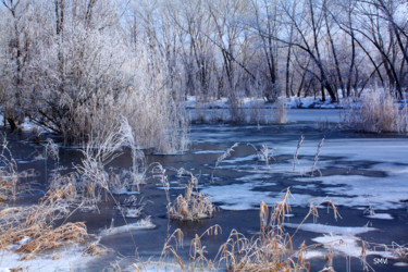 Photographie intitulée "November.Winter Bea…" par Sergei Smv, Œuvre d'art originale, Photographie numérique