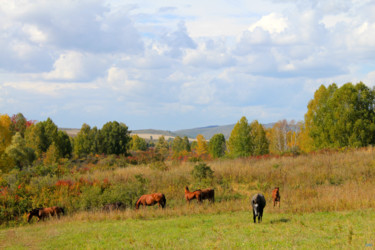 Fotografie mit dem Titel "Autumn Walk" von Sergei Smv, Original-Kunstwerk