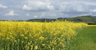 Фотография под названием "Yellow." - Dave English, Подлинное произведение искусства, Цифровая фотография