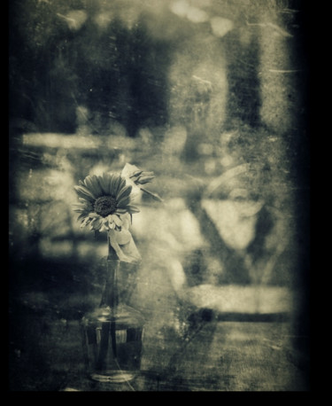 Photography titled "Wild flower in a gl…" by Dave English, Original Artwork, Digital Photography