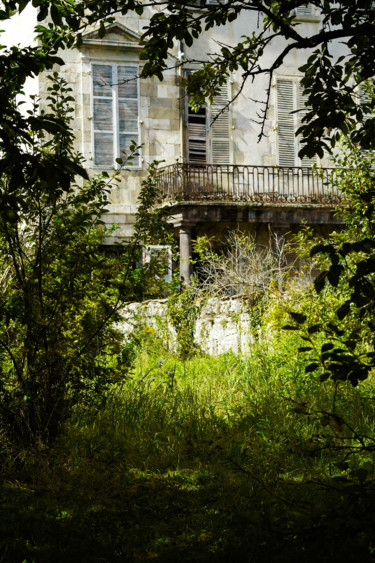 Photographie intitulée "Old Hidden House." par Dave English, Œuvre d'art originale, Photographie numérique