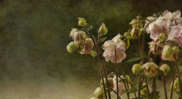 Photographie intitulée "Beau Bouquet." par Dave English, Œuvre d'art originale, Photographie numérique