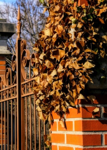 Фотография под названием "Autumn Colours." - Dave English, Подлинное произведение искусства, Цифровая фотография