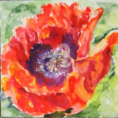 Painting titled "Regal Poppy" by B.Rossitto, Original Artwork, Watercolor