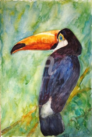 Peinture intitulée "Toucan" par B.Rossitto, Œuvre d'art originale, Aquarelle