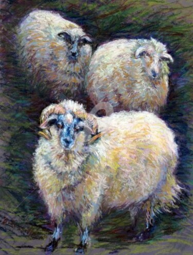 Painting titled "Three Sheep in Wint…" by B.Rossitto, Original Artwork, Oil