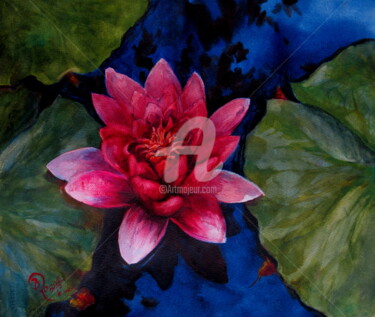 Painting titled "pink waterlily" by B.Rossitto, Original Artwork, Watercolor
