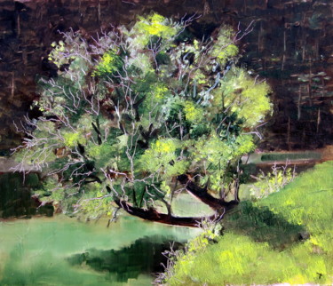 Painting titled "albero-al-lago-del-…" by Bruno Vallino, Original Artwork