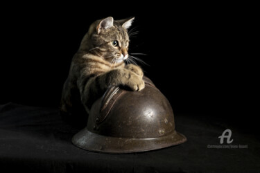 Photographie intitulée "le chat et le casque" par Bruno Bisanti, Œuvre d'art originale, Photographie non manipulée