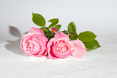 Photographie intitulée "les 2 Roses" par Bruno Bisanti, Œuvre d'art originale, Photographie non manipulée