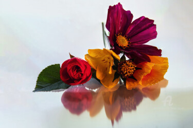Photography titled "Bouquet" by Bruno Bisanti, Original Artwork, Non Manipulated Photography Mounted on Aluminium