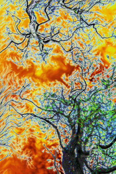 Photography titled "arbre abstrait" by Bruno Bisanti, Original Artwork, Digital Photography