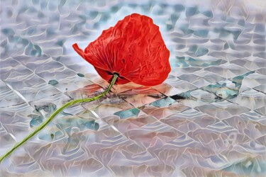 Photography titled "Coquelicot sur plexi" by Bruno Bisanti, Original Artwork, Digital Photography Mounted on Aluminium