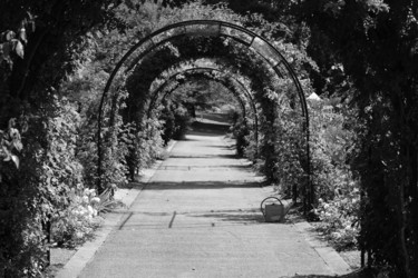 Photographie intitulée "Jardin-Botanique-Ro…" par Bruno De Muret De Labouret, Œuvre d'art originale