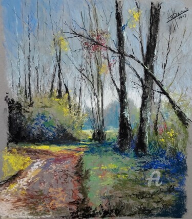 Painting titled "sous bois" by Bruno Devault, Original Artwork, Pastel