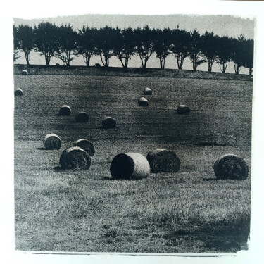 Fotografía titulada "Paysage ► Les Foins" por Bruno Lhonneur, Obra de arte original, Fotografía no manipulada