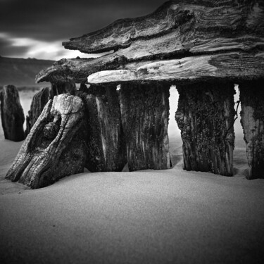 Photography titled "Leviathan Study I" by Bruno Mercier, Original Artwork, Digital Photography