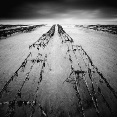 "Leviathan Study XV" başlıklı Fotoğraf Bruno Mercier tarafından, Orijinal sanat, Dijital Fotoğrafçılık