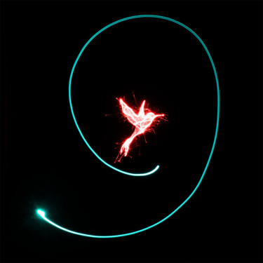 Photographie intitulée "Oiseau en neuf" par Bruno Mesrine, Œuvre d'art originale, Light Painting