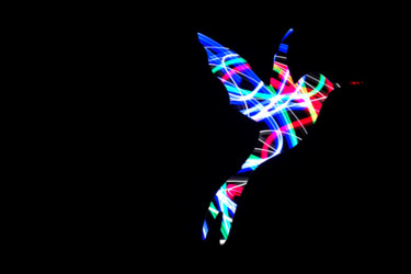 Photography titled "Oiseau Paradis" by Bruno Mesrine, Original Artwork, Light Painting