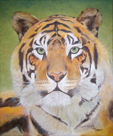 Peinture intitulée "Tête de tigre" par Bruno Nuevo, Œuvre d'art originale, Huile