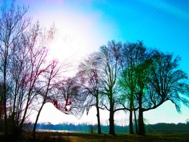 Arts numériques intitulée "Oisarbre sur terre" par Bruno Antony-Thouret (bruno antony), Œuvre d'art originale, Photo montage