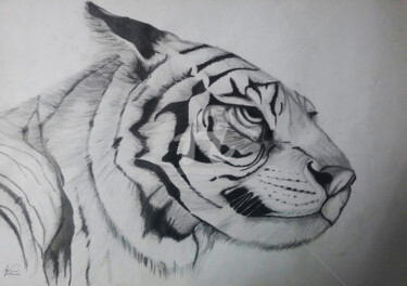 Desenho intitulada "O Tigre" por Bruno Cardoso, Obras de arte originais, Grafite