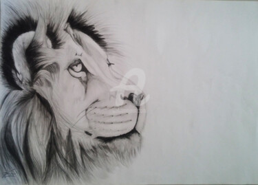 Desenho intitulada "O Leão" por Bruno Cardoso, Obras de arte originais, Grafite