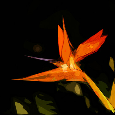 Digitale Kunst getiteld "Bird of Paradise" door Bulent Unsal, Origineel Kunstwerk, 2D Digital Work