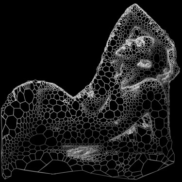 Arts numériques intitulée "Voronoi.jpg" par Bernard Bunner, Œuvre d'art originale, Travail numérique 2D