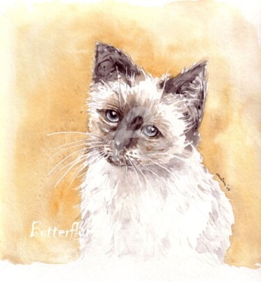 Painting titled "Chat blanc" by Butterflymoon, Original Artwork