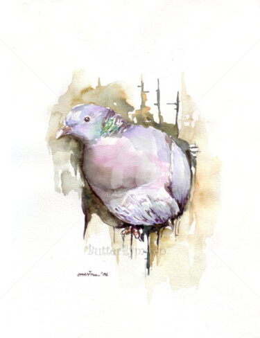 Painting titled "Pigeon" by Butterflymoon, Original Artwork