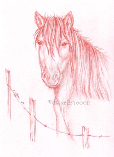 Drawing titled "Cheval" by Butterflymoon, Original Artwork