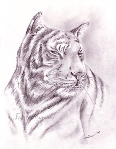 Drawing titled "Tigre" by Butterflymoon, Original Artwork