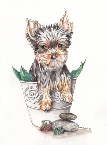 Painting titled "Yorkshire Terrier" by Butterflymoon, Original Artwork