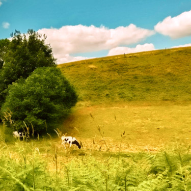 Paysage de campagne 01 Photographie intitulée "Paysage de campagne…" par Byalmador, Œuvre d'art originale, Photographie numérique
