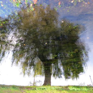 Photographie intitulée "Tree one -S1" par C_cil, Œuvre d'art originale