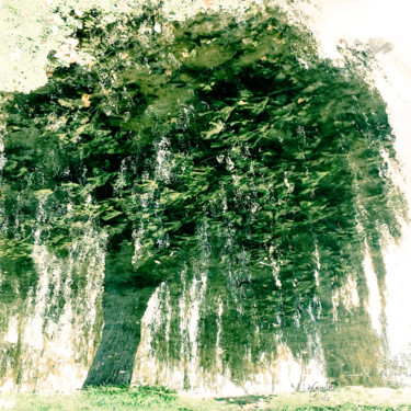 Photographie intitulée "Tree six -S2" par C_cil, Œuvre d'art originale