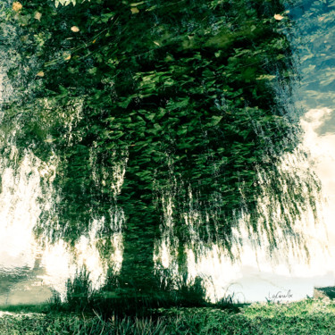 Photographie intitulée "Tree seven -S2" par C_cil, Œuvre d'art originale